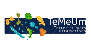 logo-temeum