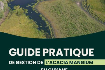 Actu_guide-pratique