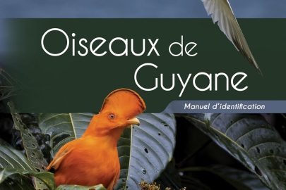 Actu_premier-guide-oiseaux